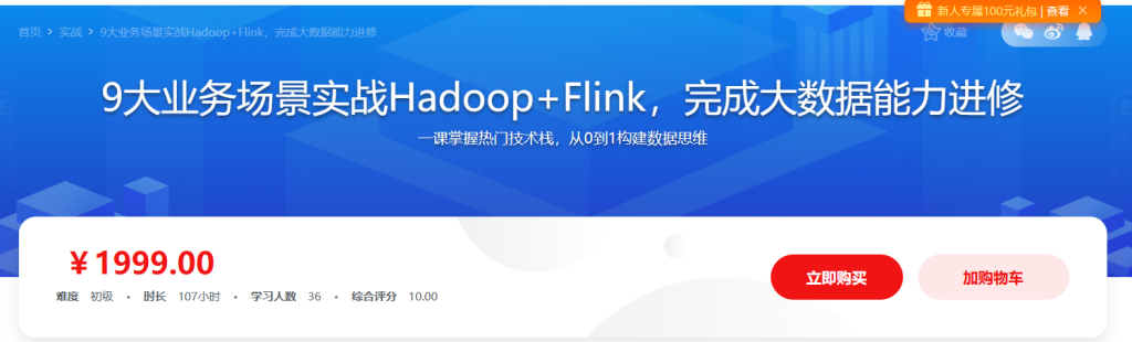 9大业务场景实战Hadoop+Flink，完成大数据能力进修