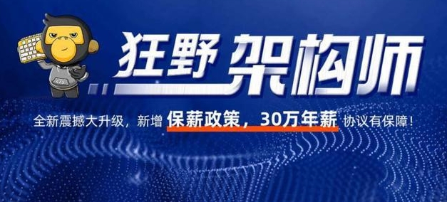 狂野架构师6期